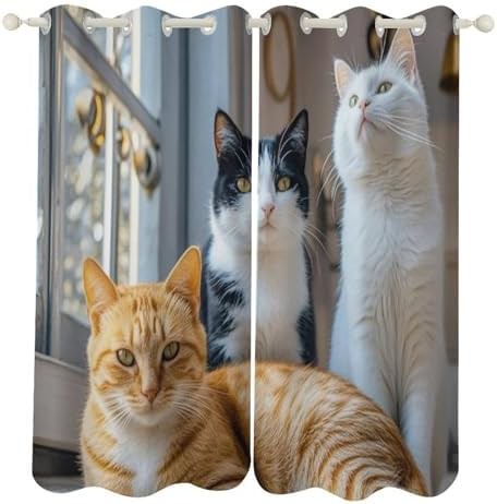Cat printed decorative thermal blackout curtains