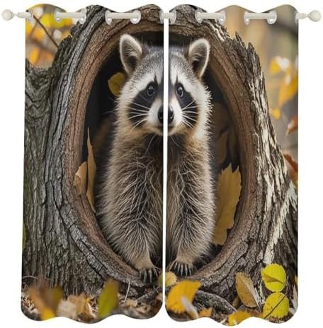 Raccoon in fall tree hole blackout curtains